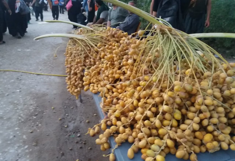 اهالي عتبات عاليات زير پرچم "حسين دوستي" و ميزباني از زائران اربعين